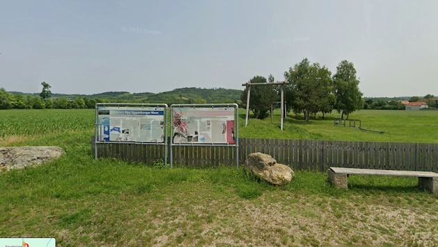 A boy from a gang of children aged twelve is said to have humiliated a boy and then shot him in ...