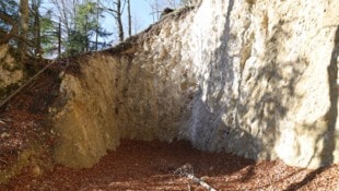 Kerschbaummayr Werner Beim Bau der Forststraße stehen einem Landwirt ein Fels und bürokratische Hürden im Weg.
