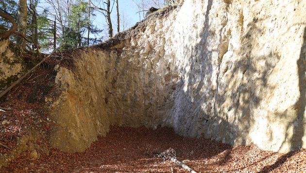 Beim Bau der Forststraße stehen einem Landwirt ein Fels und bürokratische Hürden im Weg.