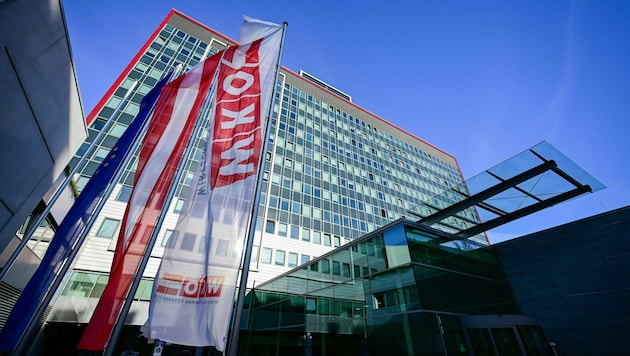 Spitzenfunktionäre der Wirtschaftskammer sorgen für Kopfschütteln.