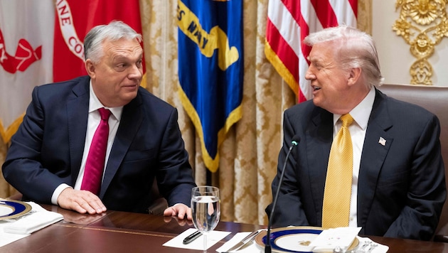 Ungrans Regierungschef Viktor Orban und US-Präsident Donald Trump bei ihrem Treffen im Weißen ...