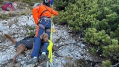 Das Tier stürzte durch eine steile Rinne und traute sich nicht mehr weiter. 