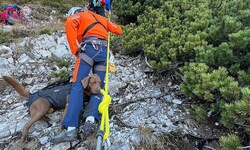 Das Tier stürzte durch eine steile Rinne und traute sich nicht mehr weiter. 