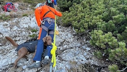 Das Tier stürzte durch eine steile Rinne und traute sich nicht mehr weiter. 