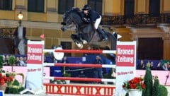 Die „Blut-Regel“ im Pferdesport wird ab 2026 gelockert.