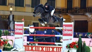 Die „Blut-Regel“ im Pferdesport wird ab 2026 gelockert.