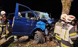 Auch die Feuerwehr musste ausrücken.