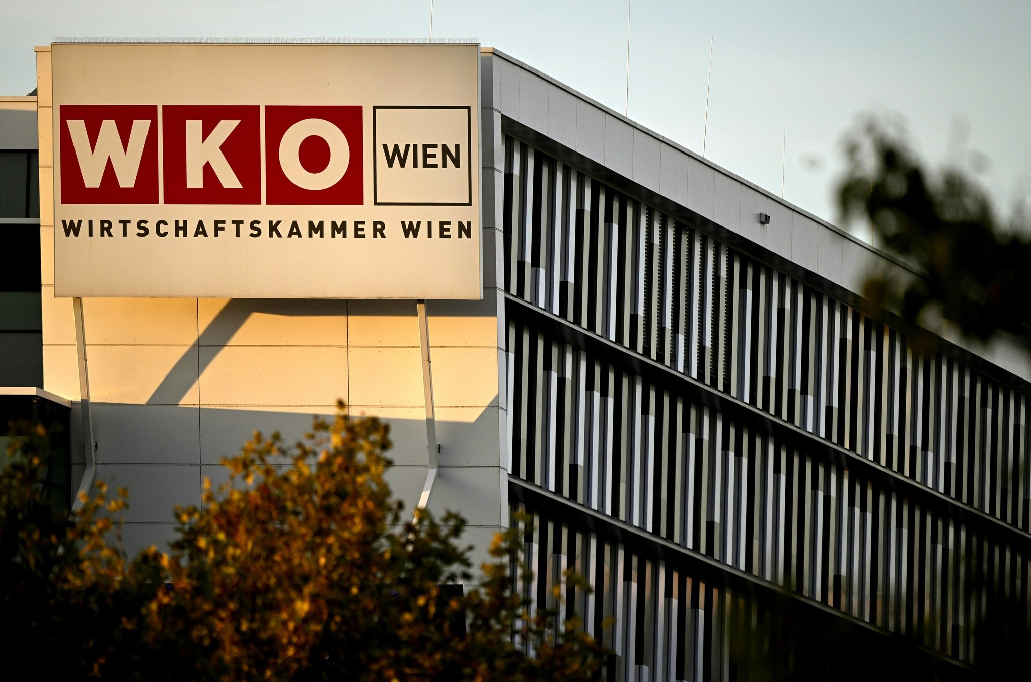 Affäre bedroht? - prozess nach eifersuchtsszene in wirtschaftskammer 2026 - justiz Affäre bedroht? - prozess nach eifersuchtsszene in wirtschaftskammer 2026 full ob die causa im landesgericht wien richtig aufgehoben ist? Eine 62-jährige stürmte im juni die wirtschaftskammer in... Iustitia. Bg affäre bedroht? - prozess nach eifersuchtsszene in wirtschaftskammer 2026 2026-08-22 07:30:44 justiz
