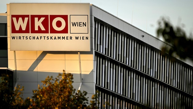 Auch in der Wirtschaftskammer Wien stiegen die „Entschädigungen“.