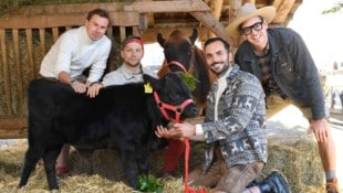 Mit dem Gute-Laune-Song „No Kangaroo“ wollen die Jungs der Mountain Crew beim ESC klarmachen: In ...