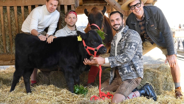 Mit dem Gute-Laune-Song „No Kangaroo“ wollen die Jungs der Mountain Crew beim ESC klarmachen: In ...