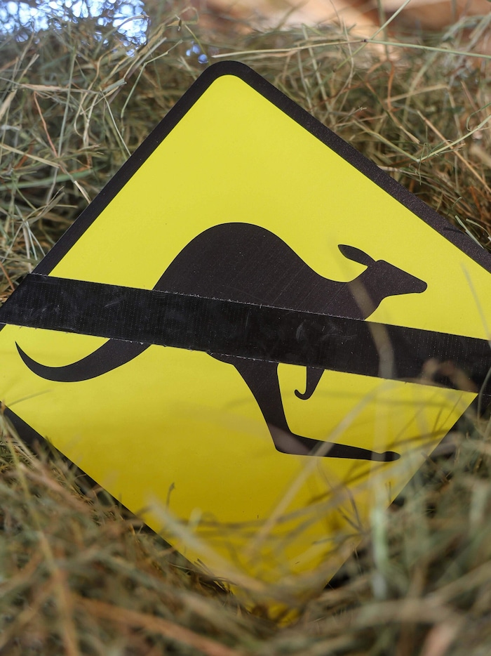 Keine Kängurus in Österreich