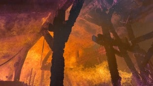 Der Dachstuhl wurde ein Raub der Flammen.