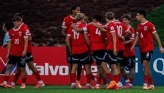 Die jubelnden Österreicher