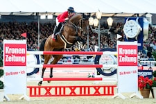 Das Wohl der Pferde steht beim hochkarätigen Reitturnier vor dem Schloss Schönbrunn an erster ...