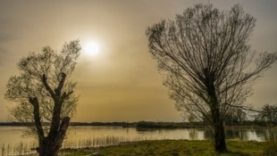 Etwas trüb zeigt sich zum Wochenende hin der Himmel. Schuld daran ist Saharastaub.