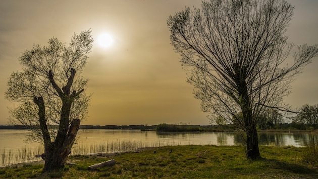 Etwas trüb zeigt sich zum Wochenende hin der Himmel. Schuld daran ist Saharastaub.