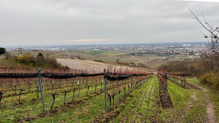 Peter F. klagt: Während einige Nachbarn weit größere Objekte wie Garagen, Pavillons oder ...