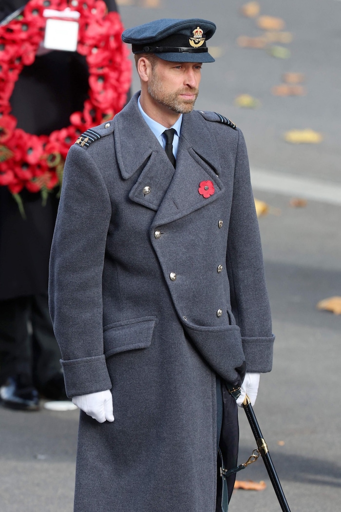 Der König wurde von Prinz William begleitet.