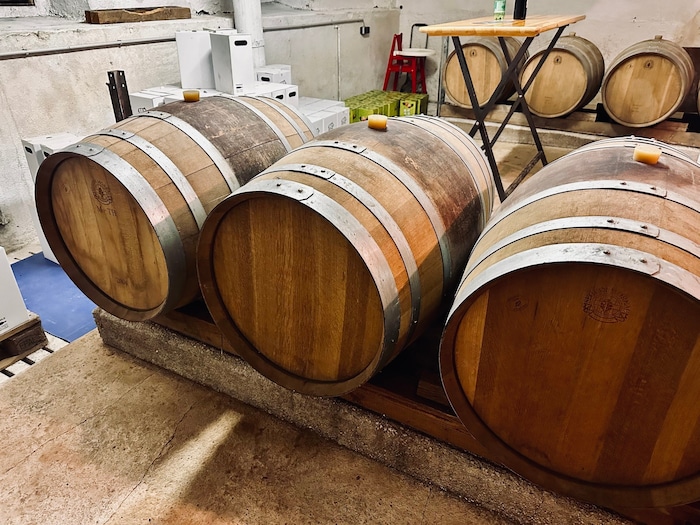 Interessierte konnten sich auch den Weinkeller und die großen Holzfässer genau ansehen.