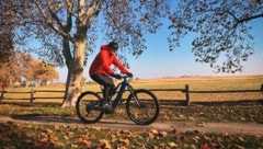 Radfahren im November – im Burgenland fast immer möglich. 
