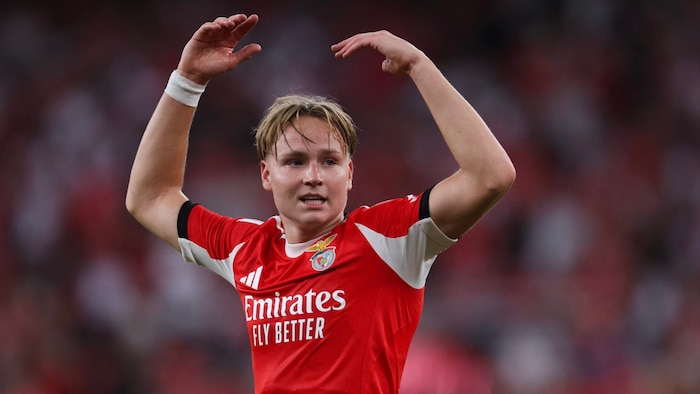 Andreas Schjelderup steht bei Benfica Lissabon unter Vertrag.