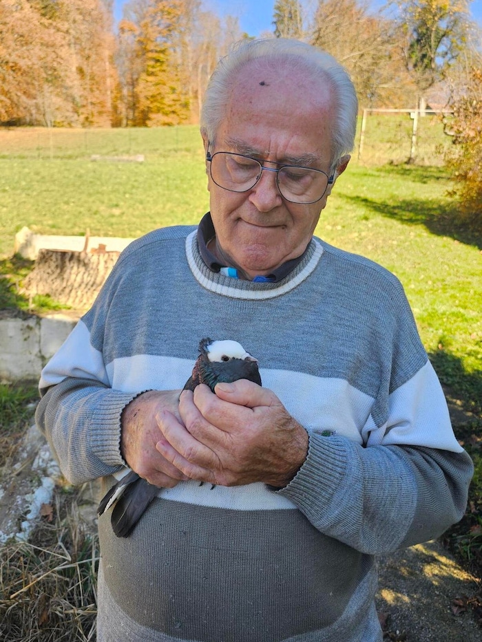Dass er seine geliebten Vögel weggeben muss, ist für Hermann Fink noch unvorstellbar.