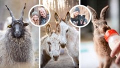 Das Team des Assisi-Hofs begleitet seine Tiere mit Geduld, Liebe und Zuversicht.