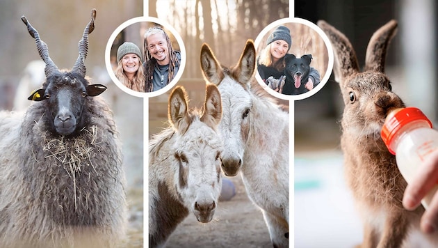 Das Team des Assisi-Hofs begleitet seine Tiere mit Geduld, Liebe und Zuversicht.