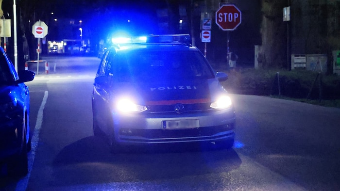 In der Nacht auf Sonntag machte die Salzburger Polizei eine grausame Entdeckung. (Symbolbild)