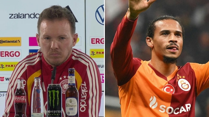 Julian Nagelsmann (l.) und Leroy Sane