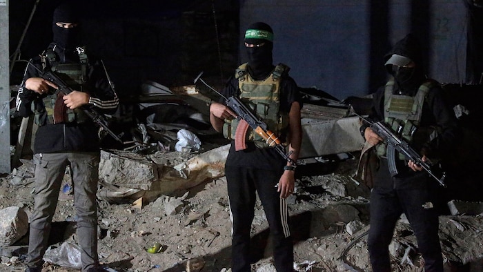 Der Ausschuss für nationale Sicherheit der Knesset hatte die Pläne für eine entsprechende ...