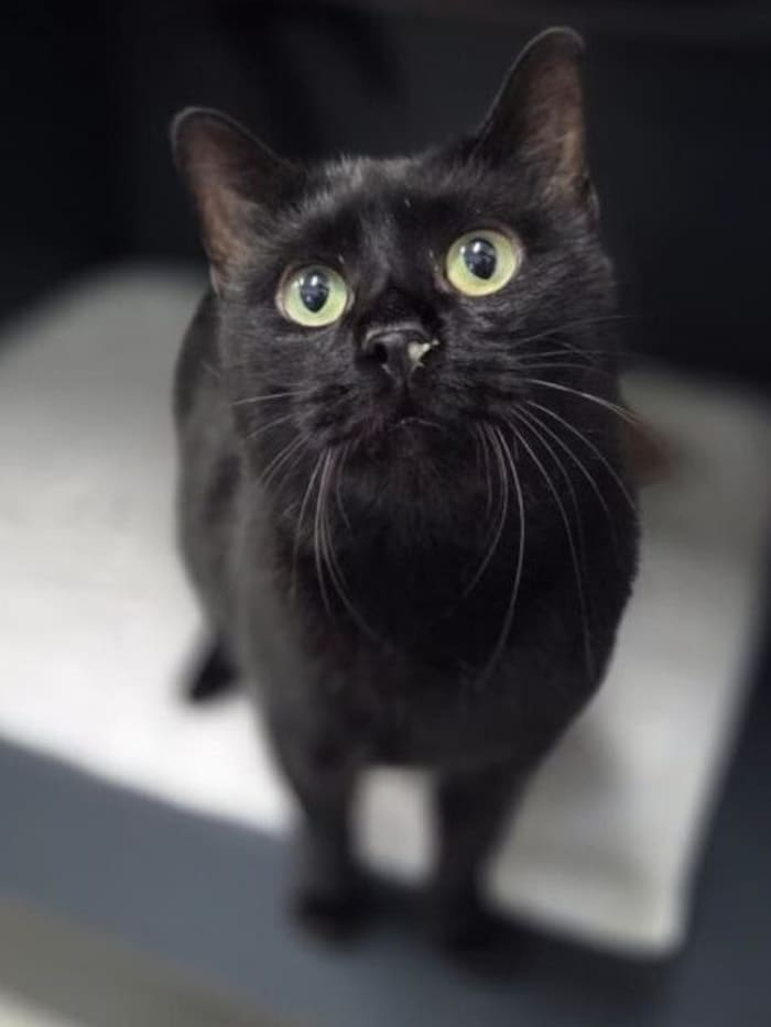 Verschmuste Seelchen Pogo