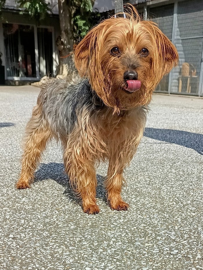 Timmy hofft auf noch viele schöne Jahre