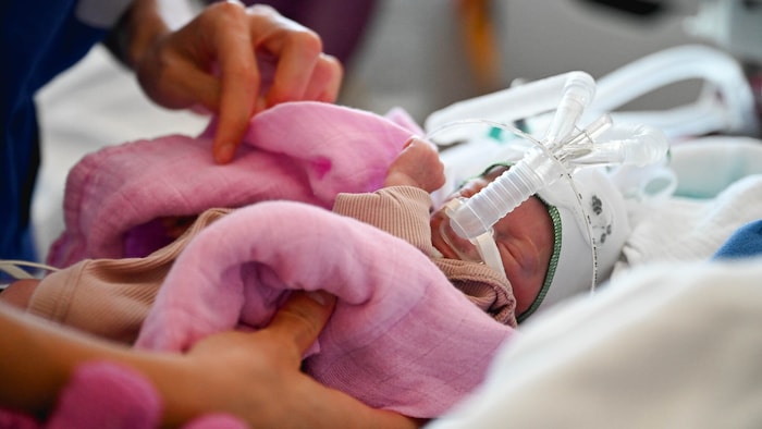 In ihrem Bettchen wird Emily beatmet, gewärmt, befeuchtet, untersucht, gewogen und gewickelt.