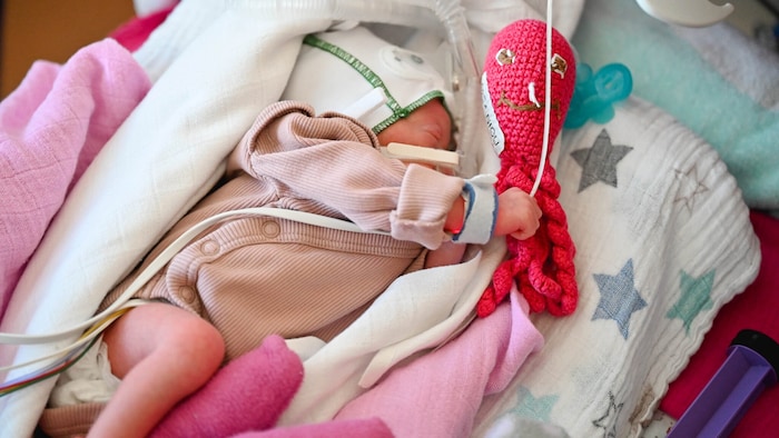 Der Verein „Oktopus für Frühchen“ verteilt die gehäkelten Tierchen, die der Nabelschnur ähneln, ...