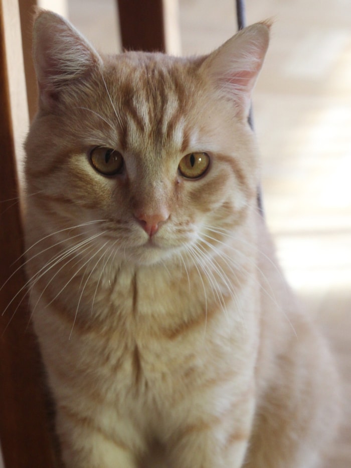 Von Sunny fehlt jedes Lebenszeichen