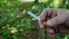 Am Mittwoch entscheidet sich, wer über das Zigarettenfilterverbot verhandelt.