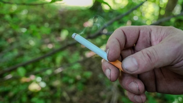 Am Mittwoch entscheidet sich, wer über das Zigarettenfilterverbot verhandelt.