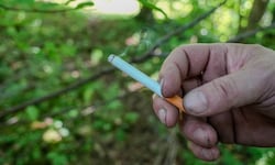 Am Mittwoch entscheidet sich, wer über das Zigarettenfilterverbot verhandelt.