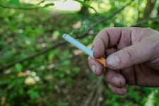 Am Mittwoch entscheidet sich, wer über das Zigarettenfilterverbot verhandelt.