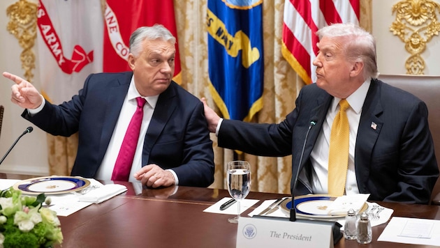 Trump dementiert: Es wird keine 20-Milliarden-Geldspritze aus den Staaten für Orbán geben.