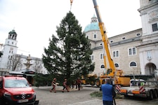 Der Baum steht nach Problemen beim Transport.