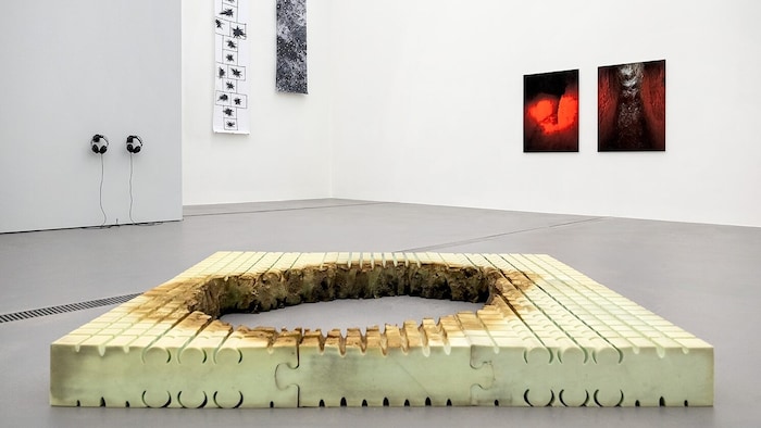 Sergey Bratkov legte einen Kunstschaum ins Museum, das Loch weckt unterschiedliche ...