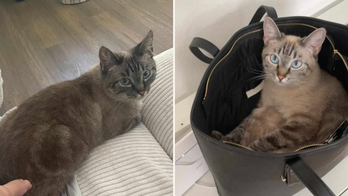 Sina has very expressive blue eyes.