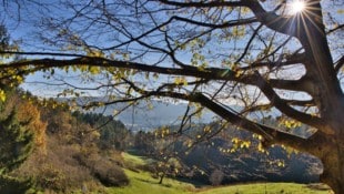 Bei solch wunderschönen Herbstimpressionen möchte man am liebsten sofort in die Bergschuhe ...