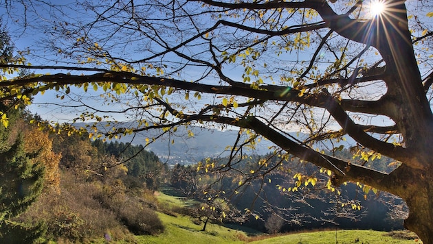 Bei solch wunderschönen Herbstimpressionen möchte man am liebsten sofort in die Bergschuhe ...