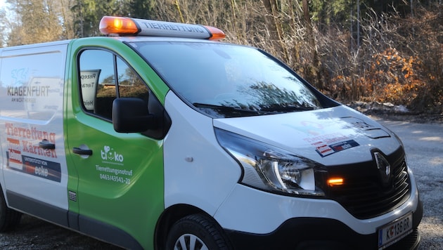 Den Tierrettern des Tiko bot sich ein erschütterndes Bild; Tierarzt Georg Rainer operierte gut ...