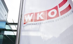 Der Wirbel um die Gagen in der WKO kostete Harald Mahrer seinen Job.