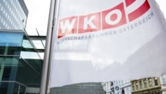 Viele Unternehmer fühlen sich von ihrer eigenen Kammer nicht gut vertreten – die Gehaltsdebatte ...